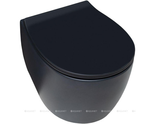 Унитаз подвесной Allen Brau Fantasy 4.11004.31 черный матовый