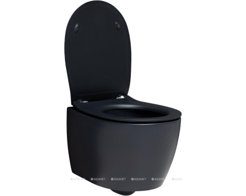 Унитаз подвесной Allen Brau Fantasy 4.11004.31 черный матовый