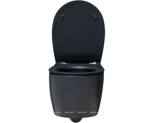 Унитаз подвесной Allen Brau Fantasy 4.11004.31 черный матовый