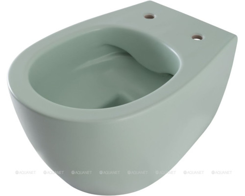 Унитаз подвесной Allen Brau Fantasy 4.11004.MT мятный