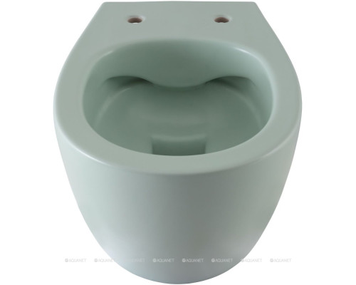 Унитаз подвесной Allen Brau Fantasy 4.11004.MT мятный