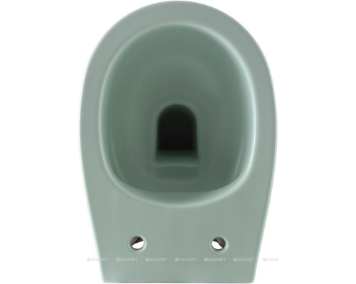 Унитаз подвесной Allen Brau Fantasy 4.11004.MT мятный