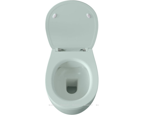 Унитаз подвесной Allen Brau Fantasy 4.11004.MT мятный