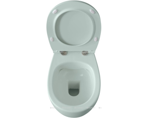 Унитаз подвесной Allen Brau Fantasy 4.11004.MT мятный