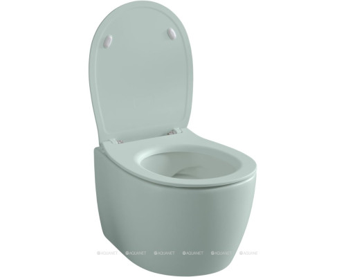 Унитаз подвесной Allen Brau Fantasy 4.11004.MT мятный