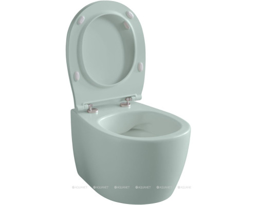 Унитаз подвесной Allen Brau Fantasy 4.11004.MT мятный