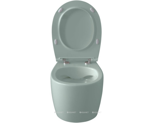 Унитаз подвесной Allen Brau Fantasy 4.11004.MT мятный