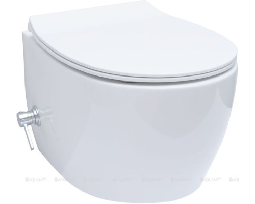 Унитаз подвесной Allen Brau Fantasy 4.11HC1.20 белый