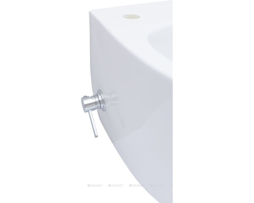 Унитаз подвесной Allen Brau Fantasy 4.11HC1.20 белый