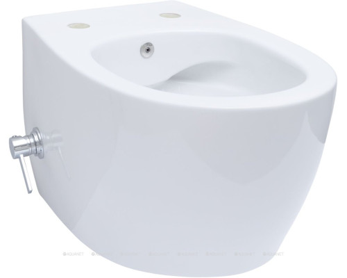 Унитаз подвесной Allen Brau Fantasy 4.11HC1.20 белый