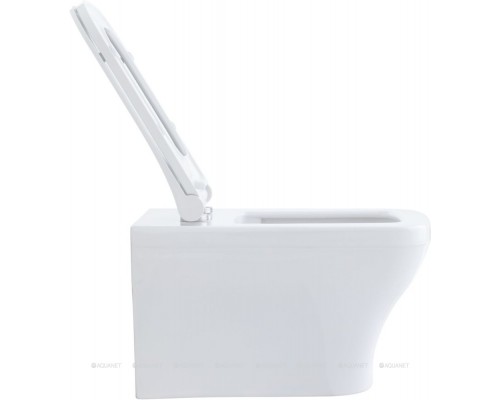 Унитаз подвесной Allen Brau Infinity 4.21011.20 белый