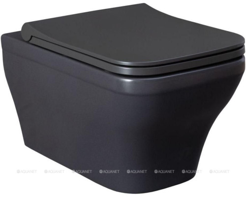 Унитаз подвесной Allen Brau Infinity 4.21011.AN антрацит