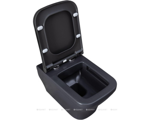 Унитаз подвесной Allen Brau Infinity 4.21011.AN антрацит