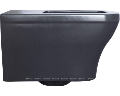 Унитаз подвесной Allen Brau Infinity 4.21011.AN антрацит