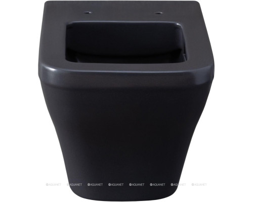 Унитаз подвесной Allen Brau Infinity 4.21011.AN антрацит