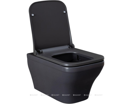 Унитаз подвесной Allen Brau Infinity 4.21011.AN антрацит