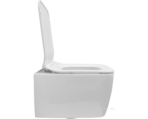 Унитаз подвесной Allen Brau Liberty 4.33007.20 белый