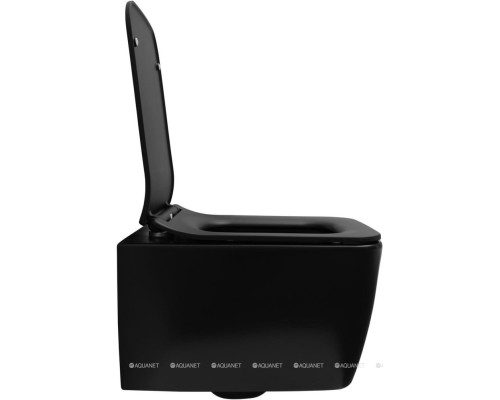 Унитаз подвесной Allen Brau Liberty 4.33007.31 черный матовый