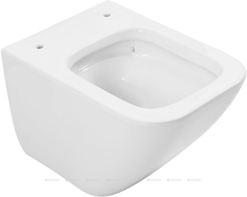 Унитаз подвесной Allen Brau Liberty 4.33012.20 белый