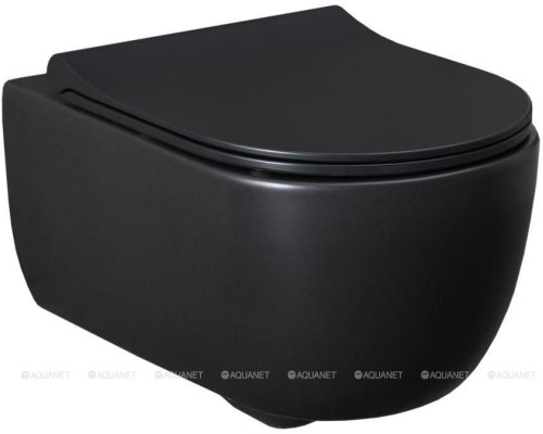 Унитаз подвесной Allen Brau Priority 4.31001.31 черный матовый