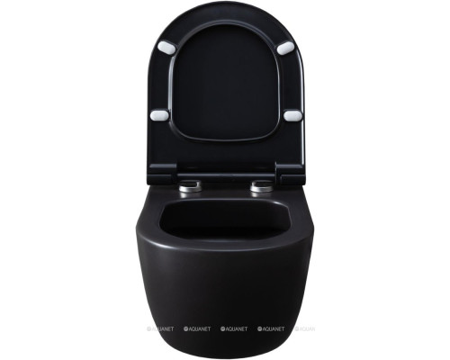 Унитаз подвесной Allen Brau Priority 4.31001.31 черный матовый