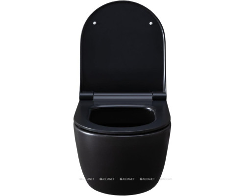 Унитаз подвесной Allen Brau Priority 4.31001.31 черный матовый
