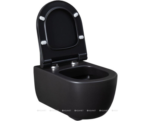 Унитаз подвесной Allen Brau Priority 4.31001.31 черный матовый