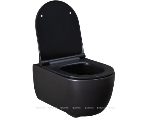 Унитаз подвесной Allen Brau Priority 4.31001.31 черный матовый