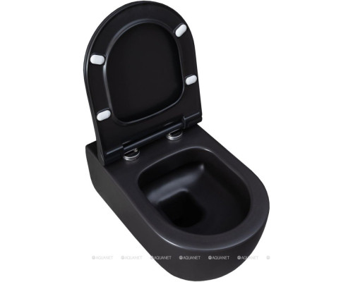 Унитаз подвесной Allen Brau Priority 4.31001.31 черный матовый