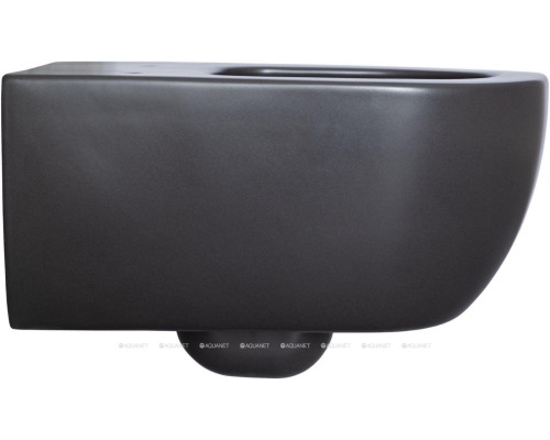 Унитаз подвесной Allen Brau Priority 4.31001.31 черный матовый