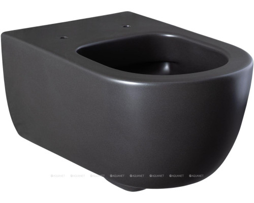 Унитаз подвесной Allen Brau Priority 4.31001.31 черный матовый