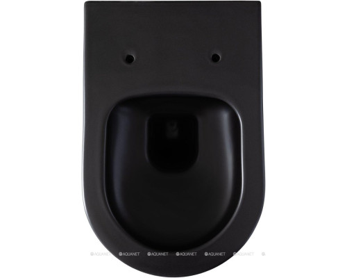 Унитаз подвесной Allen Brau Priority 4.31001.31 черный матовый