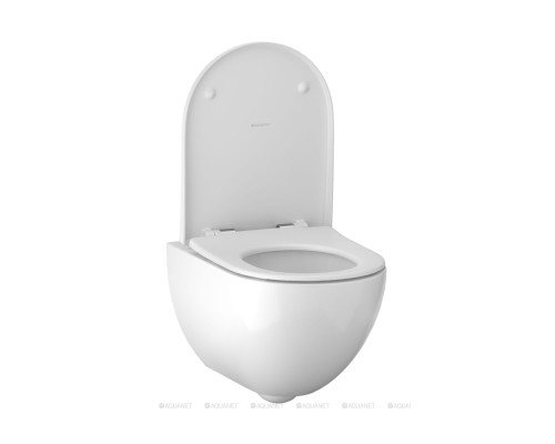 Подвесной унитаз Geberit Acanto 500.600.01.2