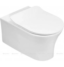 Чаша подвесного унитаза Jacob Delafon Aleo EDAH132-0