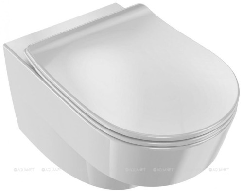 Подвесной унитаз Jacob Delafon Odeon Rive Gauche EDR102-00