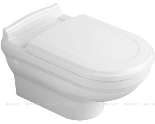 Подвесной унитаз Villeroy & Boch Hommage 6661 B0 R1