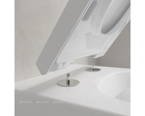 Подвесной унитаз Villeroy & Boch Venticello 4611R001