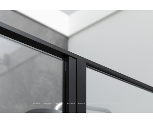 Душевая дверь Allen Brau Priority 100 3.31030.BBA черный браш