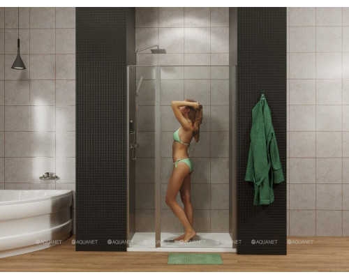 Душевая дверь Allen Brau Priority 100 3.31030.BBA черный браш