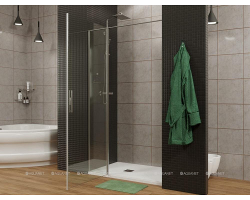 Душевая дверь Allen Brau Priority 100 3.31030.BBA черный браш