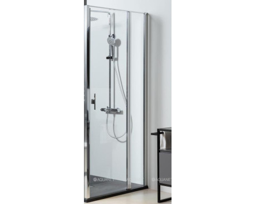 Душевая дверь Allen Brau Priority 120 3.31007.00 хром