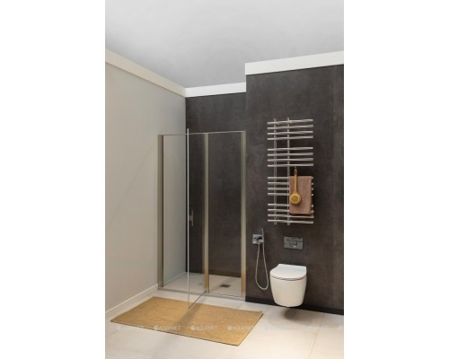 Душевая дверь Allen Brau Priority 140 3.31011.BA серебро браш