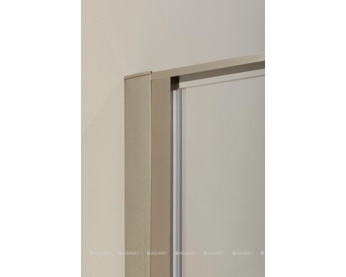 Душевая дверь Allen Brau Priority 140 3.31011.BA серебро браш