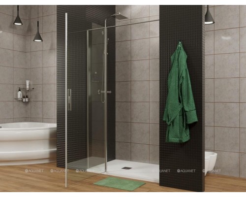 Душевая дверь Allen Brau Priority 140 3.31011.BA серебро браш