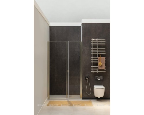 Душевая дверь Allen Brau Priority 140 3.31011.BA серебро браш