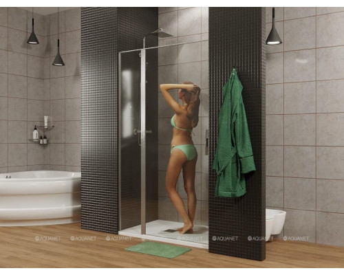 Душевая дверь Allen Brau Priority 140 3.31012.BBA черный браш