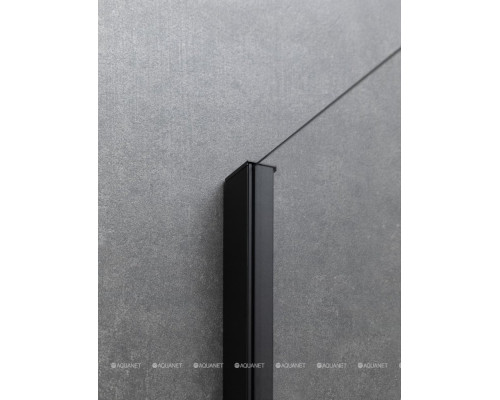 Душевая дверь Allen Brau Priority 140 3.31036.BBA черный браш