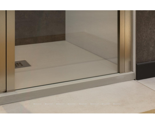 Душевая дверь Allen Brau Priority 90 3.31002.BA серебро браш