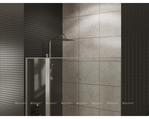 Душевая дверь Allen Brau Priority 90 3.31002.BA серебро браш