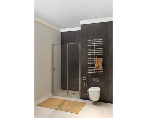 Душевая дверь Allen Brau Priority 90 3.31002.BA серебро браш